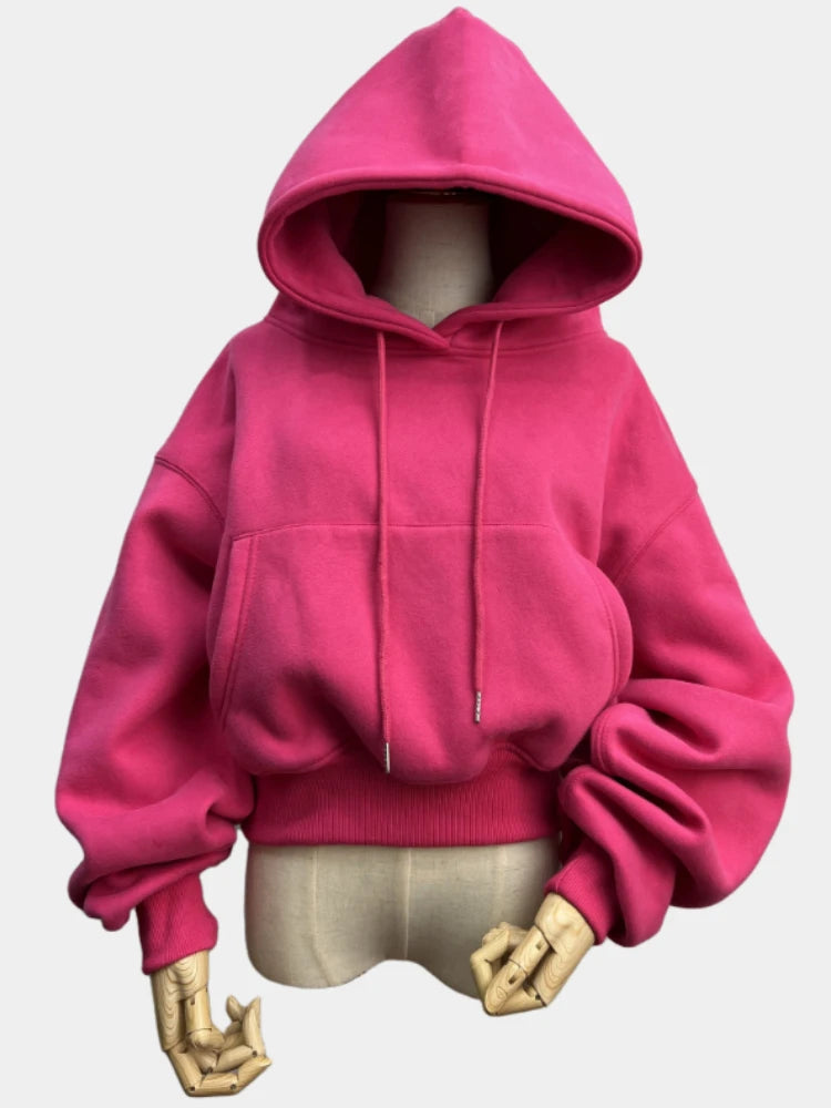 Hoodies Suit Winter Spring Solid Casual Tracksuit Women Fleece 2 Pieces Set Sports Sweatshirts Pullover Sweatpants Wholesale